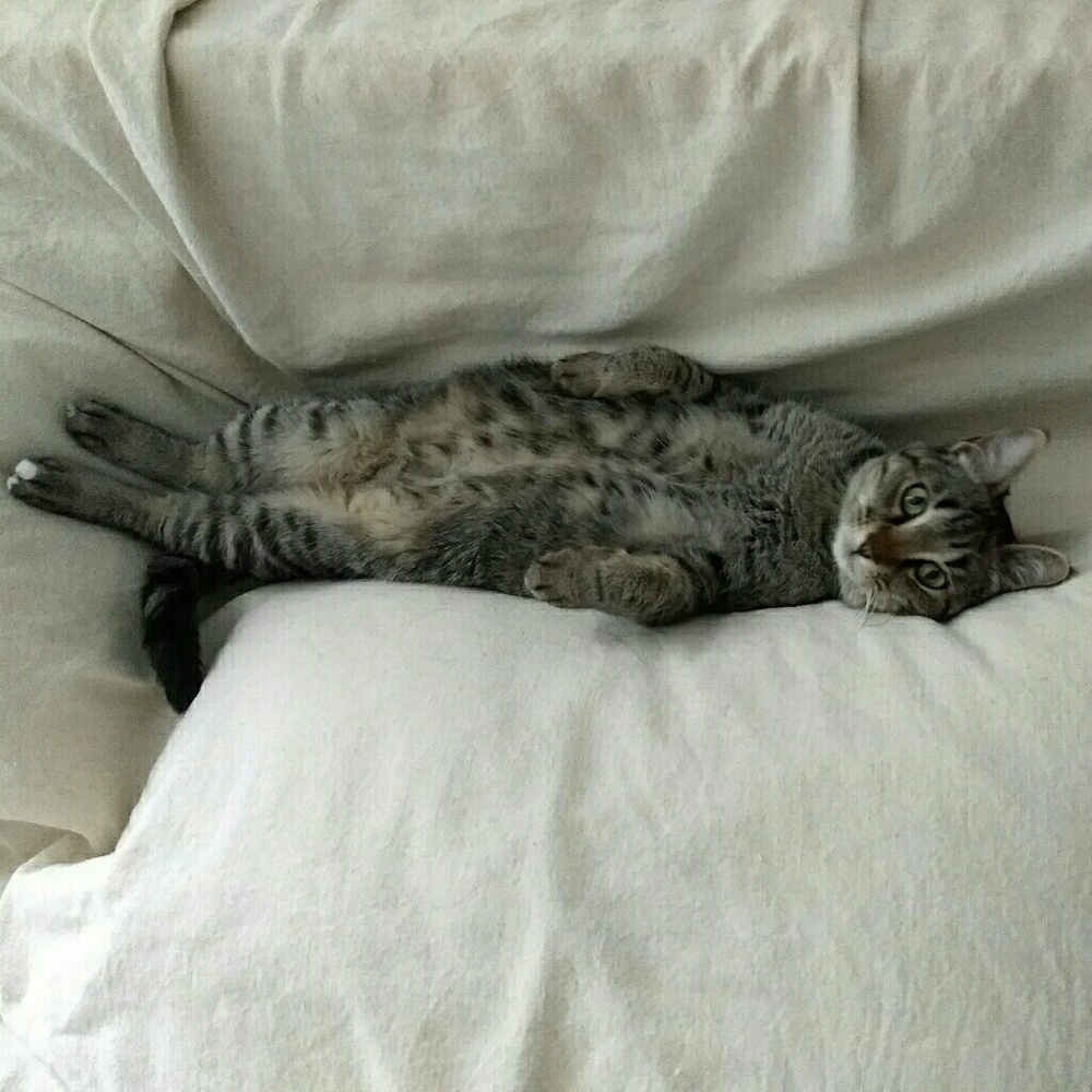 Meet your Posher, R.